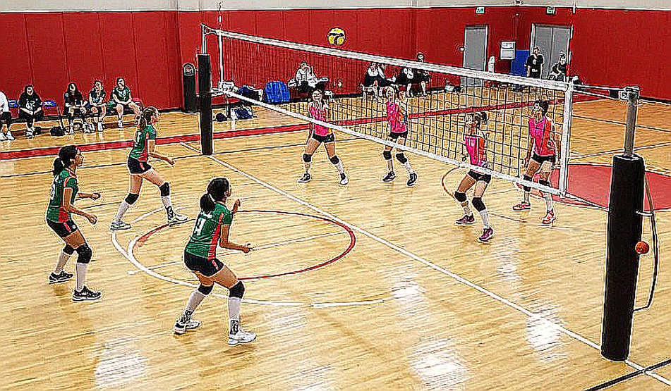 Why Vietnam women's volleyball declined: Thanh Thuy's 36 points and the system's cracks Why Vietnam women's volleyball declined: Thanh Thuy's 36 points and the system's cracks