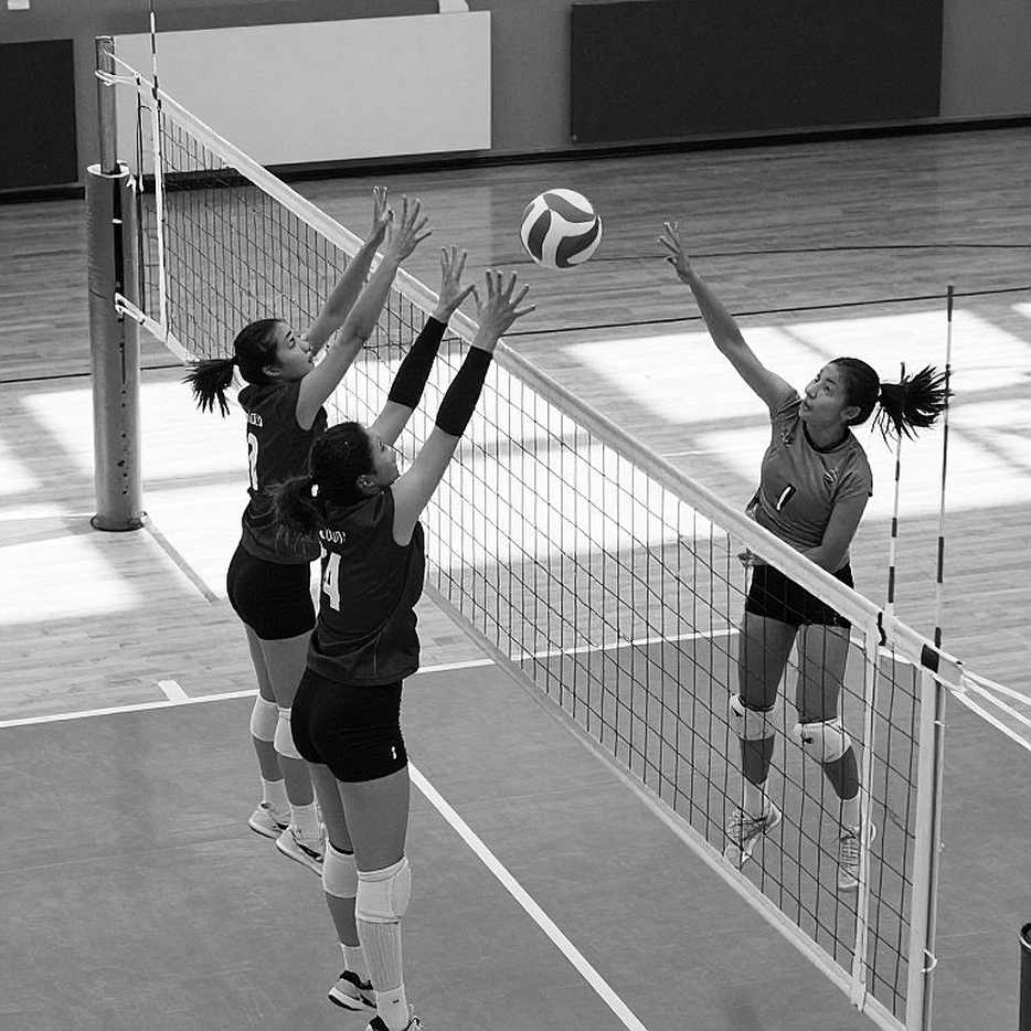 Pitt Panthers và ngôi số một Power 10: Khi bóng chuyền nữ đại học Mỹ viết lại bản đồ quyền lực
