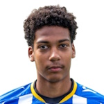 Shane Van Aarle